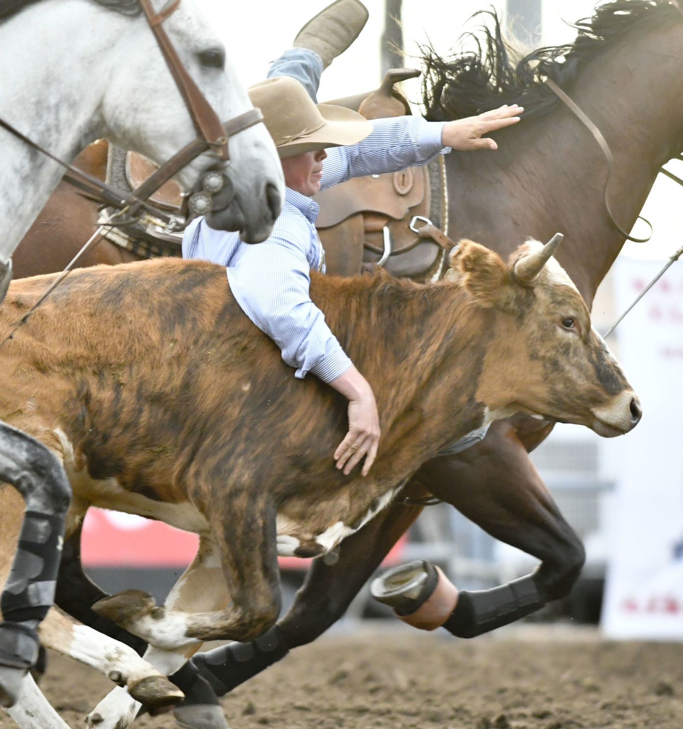 053019 Rodeo Thursday 18.jpg